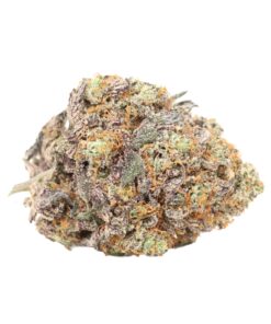 Schwarzwälder Kirschtorte AAAA+ Hybrid Craft