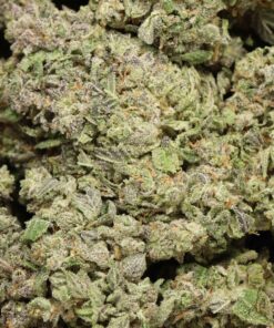 Blue Hawaiian AAAA+ Hybrid Craft