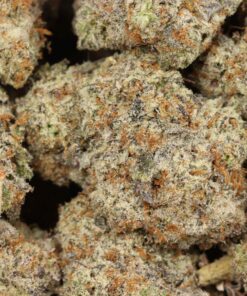 Bombsicle AAAA+ Indica Craft