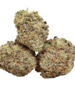 Fancy Funk AAAA+ Hybrid Craft