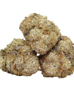 Hektan AAAA+ Indica Craft