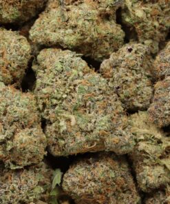 High Society AAAA+ Indica Craft