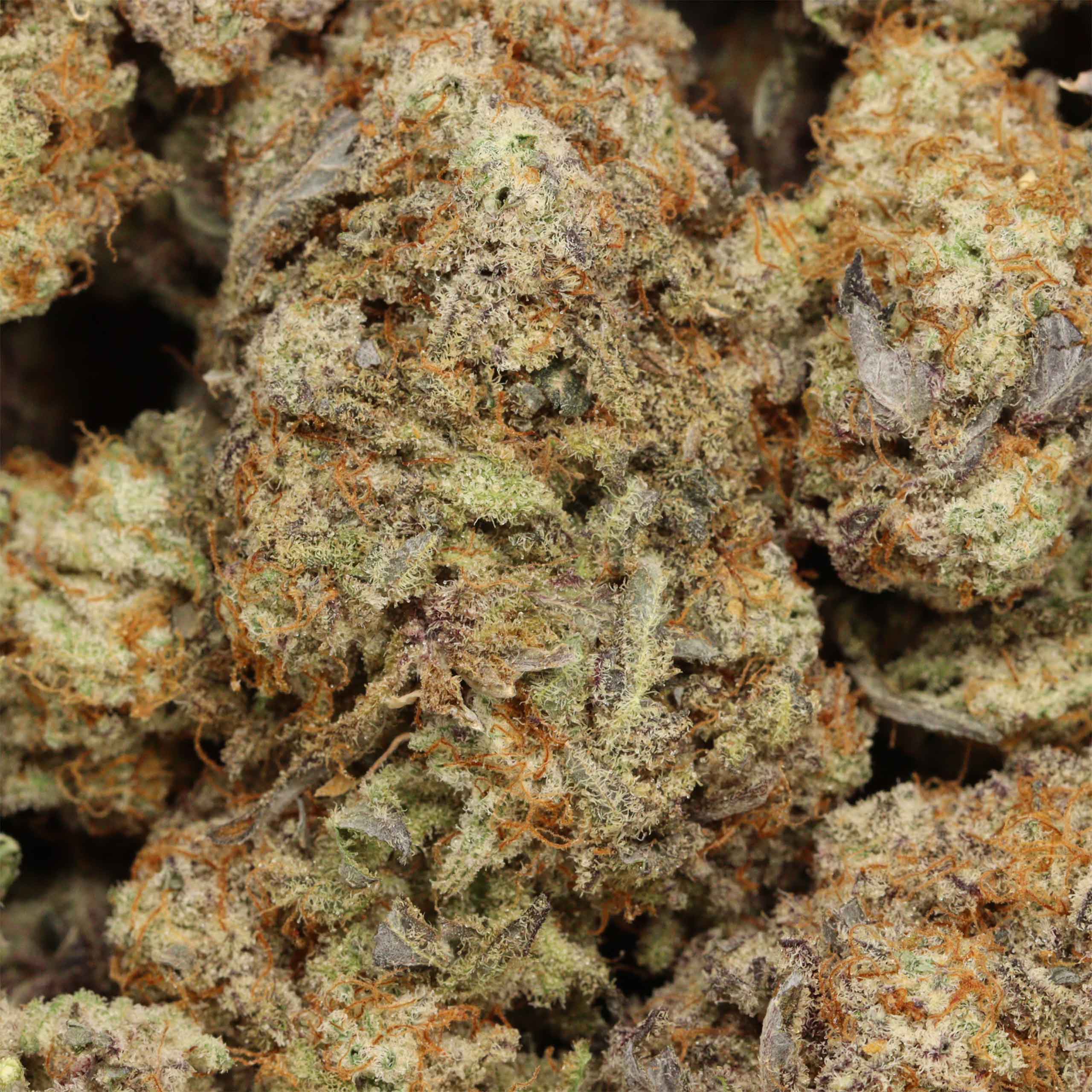 MACFlurry AAAA+ Hybrid Craft