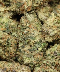 Wunderbare Alien-Kekse AAAA+ Hybrid Craft