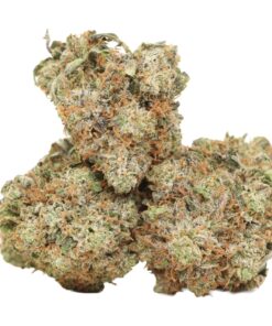 Pink Banner AAAA+ Indica Craft