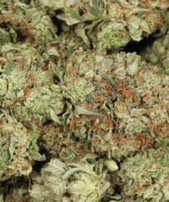 Pink Kush AAAA+ Indica Craft