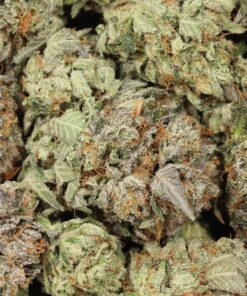 Pink Pussy AAAA+ Indica Craft