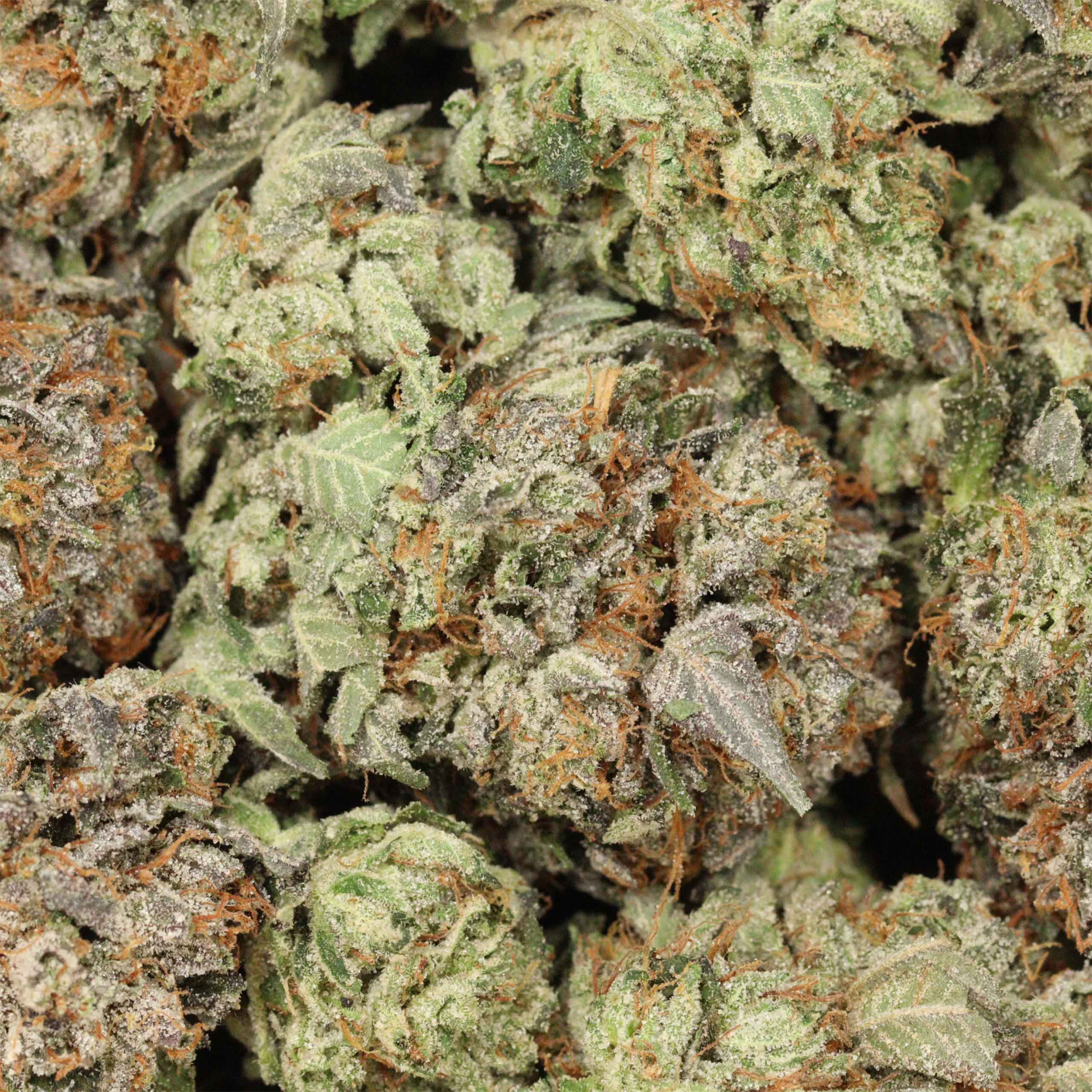 Pink Pussy AAAA+ Indica Craft