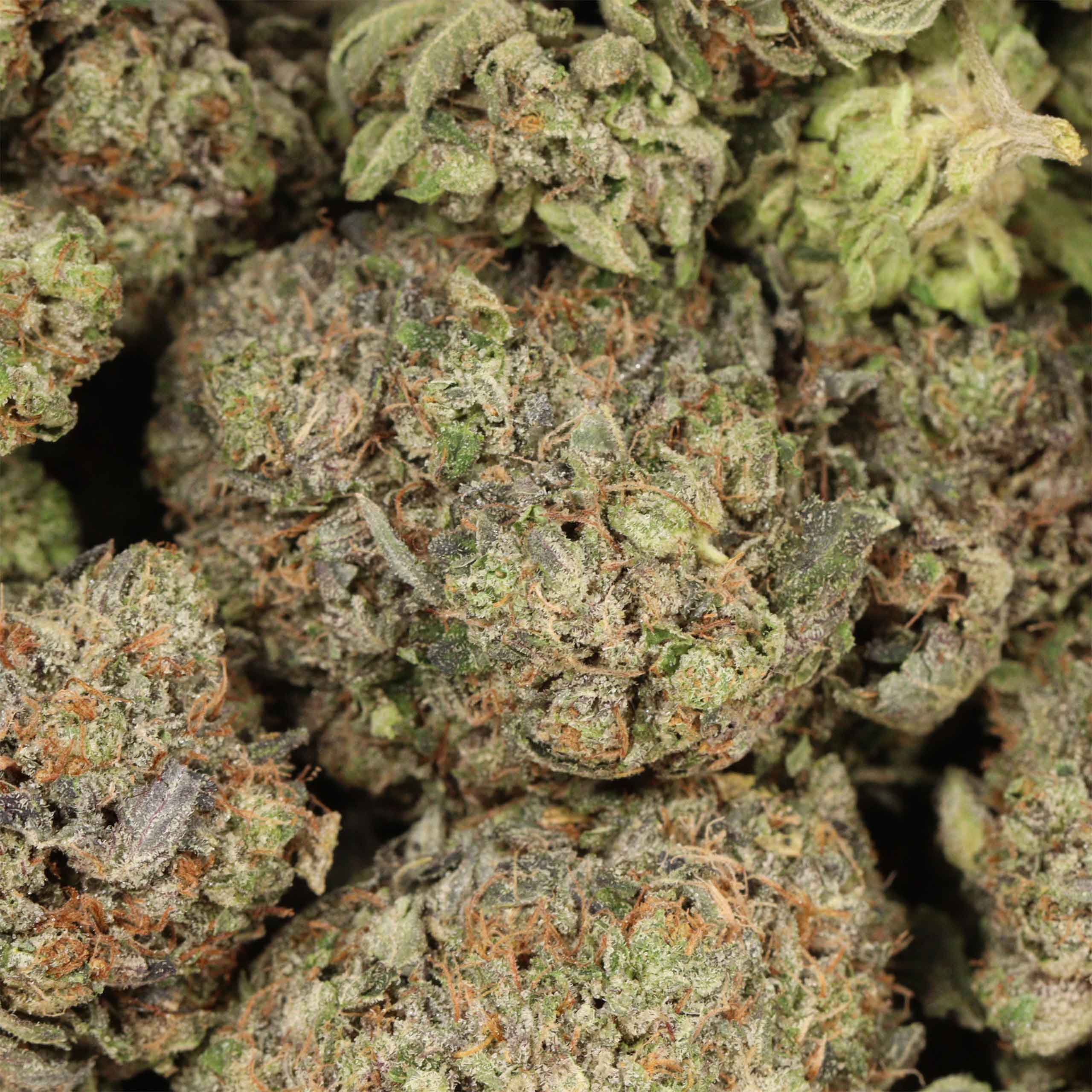 Pink Rozay AAAA+ Indica Craft