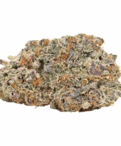 Purple Banana Breath AAAA+ Indica Craft