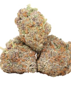 Lila Blizzard AAAA+ Hybrid Craft