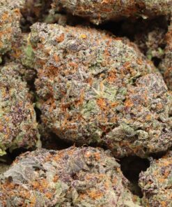 Lila Blizzard AAAA+ Hybrid Craft