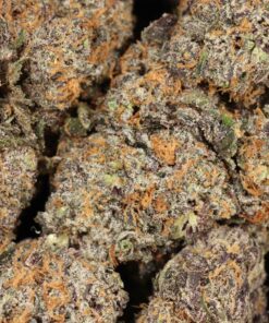 Purple Space Cookies AAAA+ Hybrid Craft