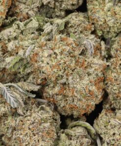 Quadzilla AAAA+ Indica Craft