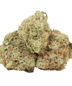 Rosé Pink Nr. 6 AAAA+ Indica Craft