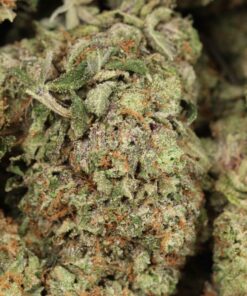 Rosé Pink Nr. 6 AAAA+ Indica Craft