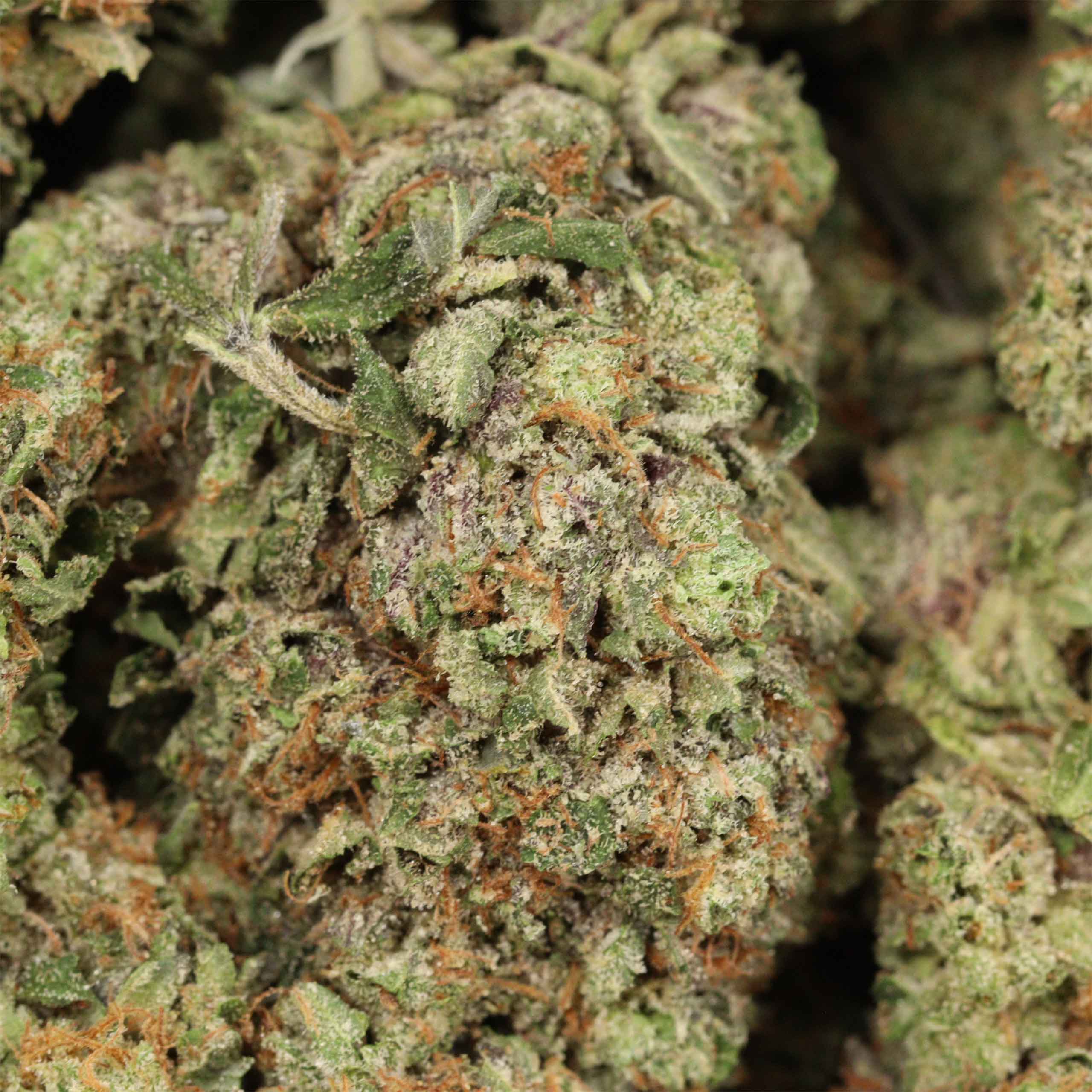 Rosé Pink Nr. 6 AAAA+ Indica Craft