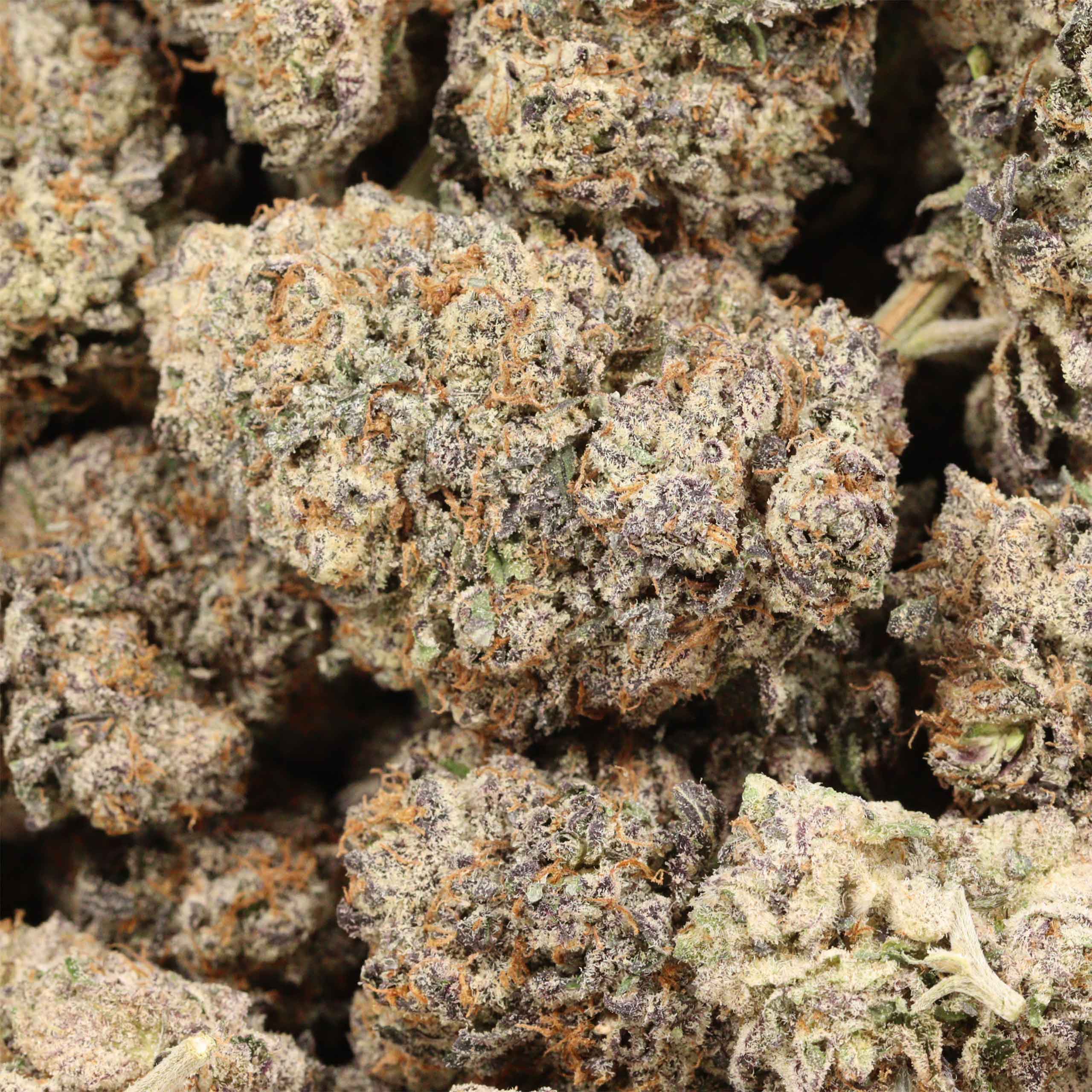 Temptation AAAA+ Indica Craft