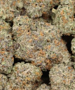 Trunk Funks AAAA+ Indica Craft