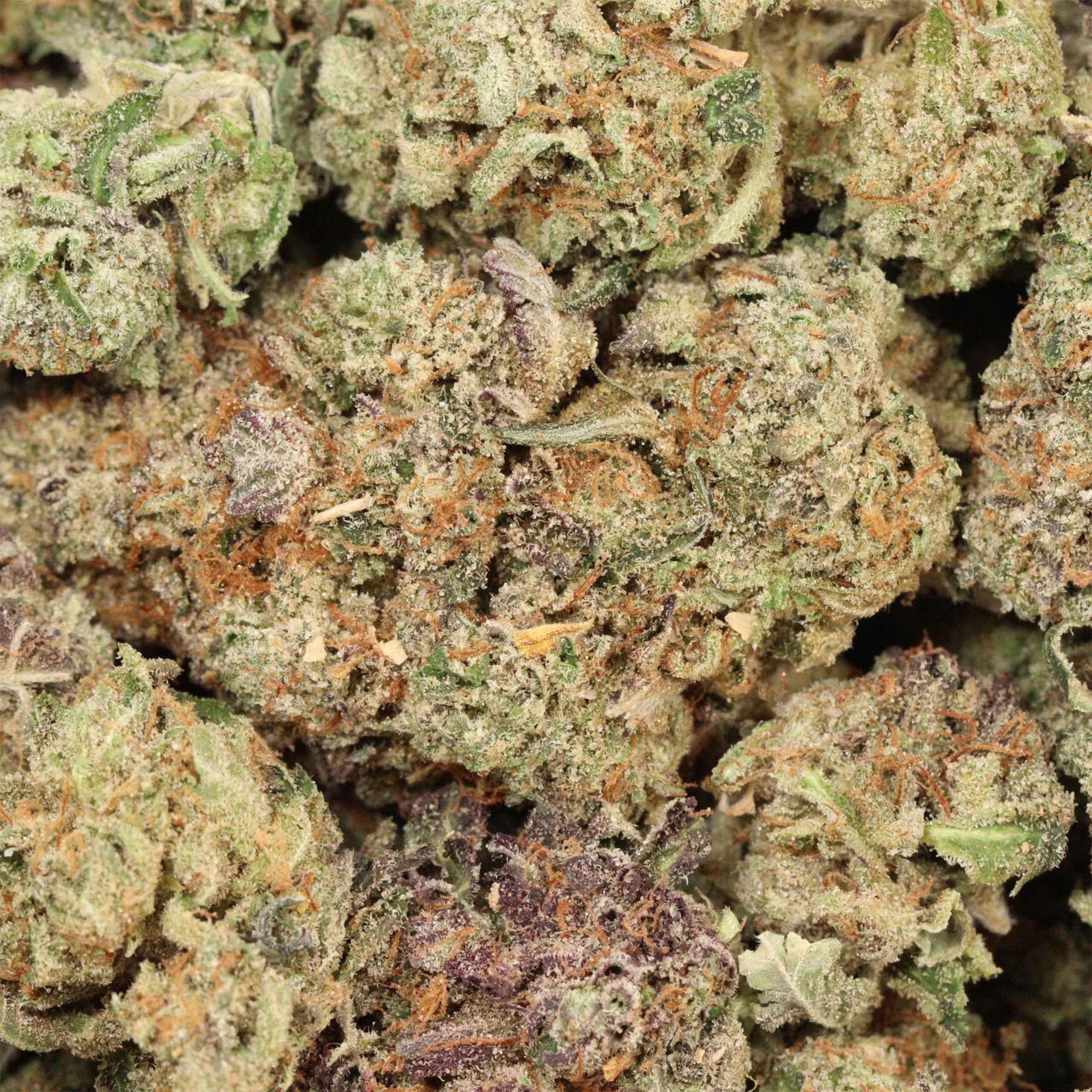 Tuna Kush AAAA+ Indica Craft